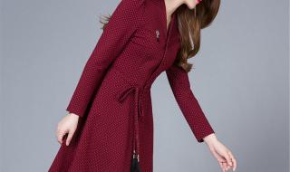 秋装长袖连衣裙 秋装长袖连衣裙